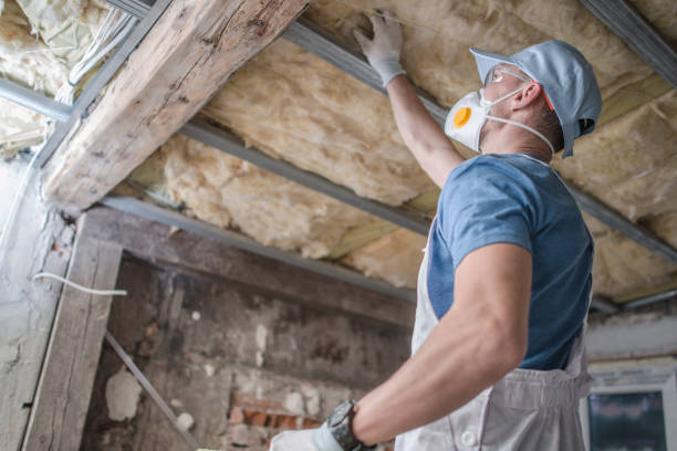Best Spray Foam Insulation in Altamont, IL